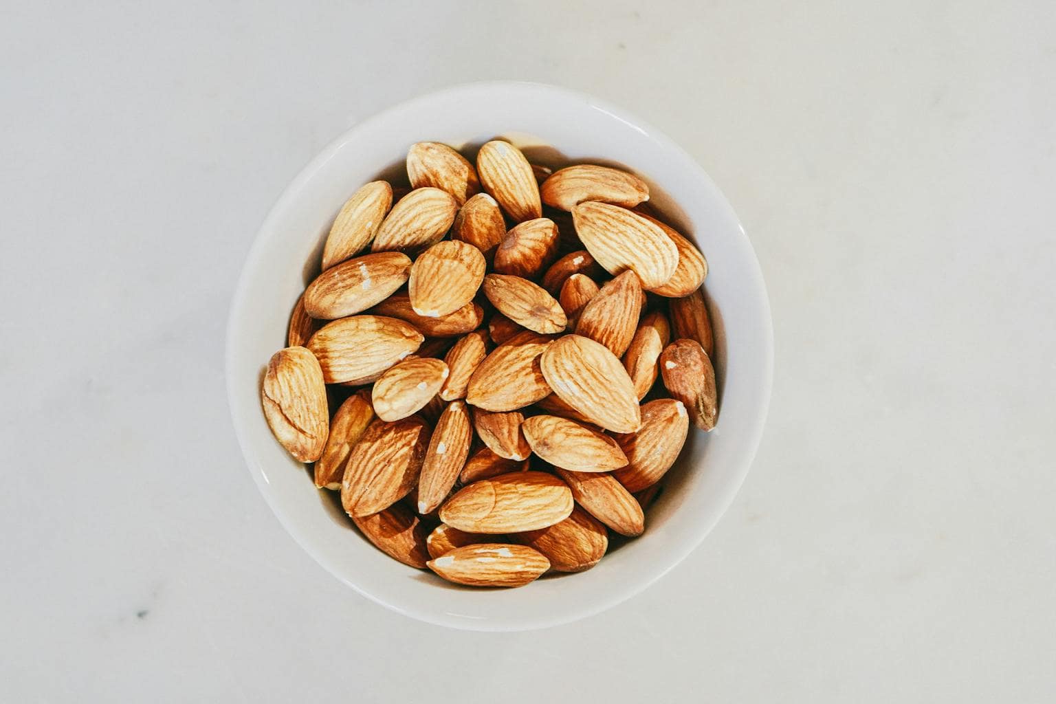 Curated visual reference: Gallery Detail: Can Dogs Eat Almonds