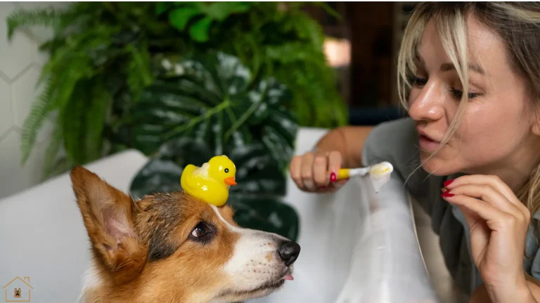 DIY Dog Toothpaste Recipes for Fresh Breath and Healthy Teeth