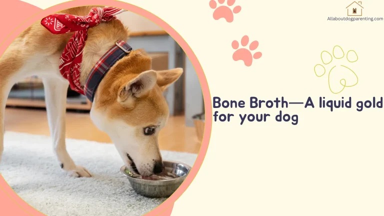 Bone Broth for Dogs