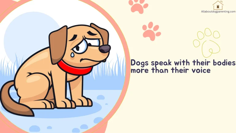 dog body language