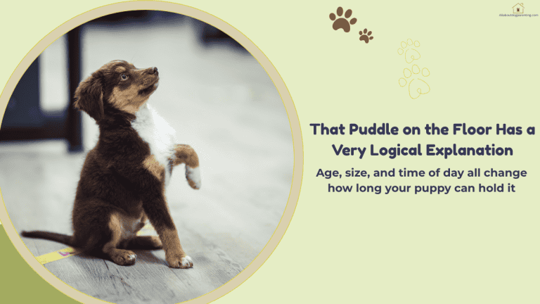 how long can puppies hold their pee