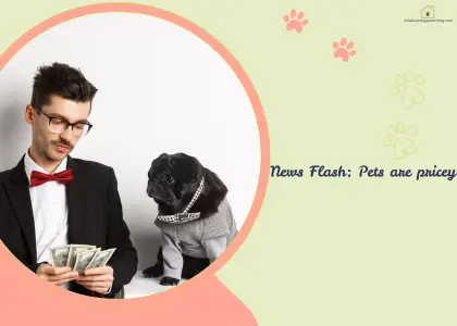 monthly dog budget