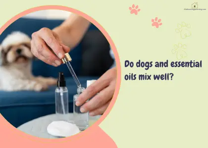 Safe Essential Oils Around Dogs: What’s Okay and What’s Not