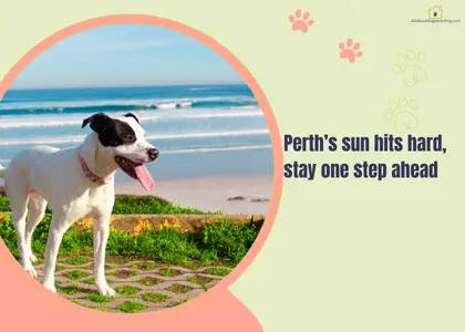 Perth dog health
