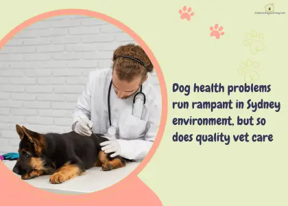 common dog health problems Sydney