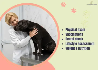 dog annual check-up Sydney