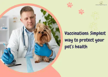 dog vaccinations Australia