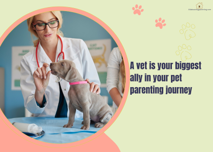 first-time dog owner vet guide Melbourne