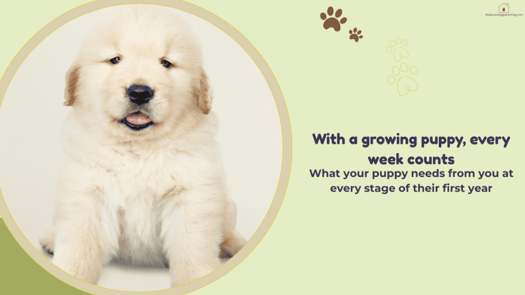puppy care by age