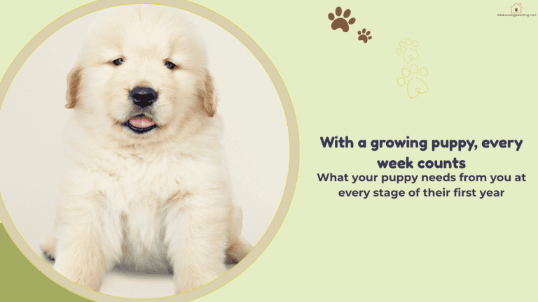 puppy care by age