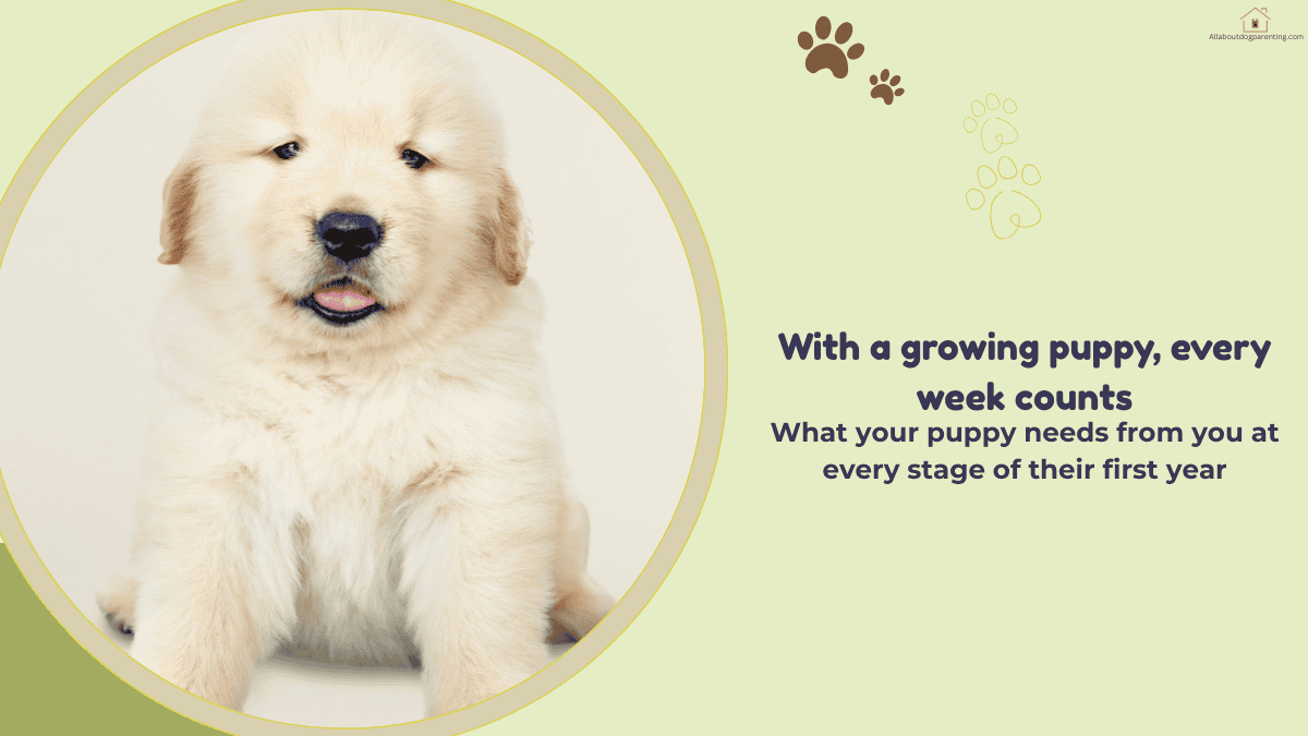 puppy care by age
