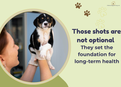 puppy vaccination schedule by age