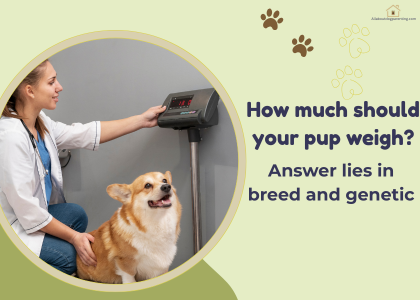 puppy weight chart by age