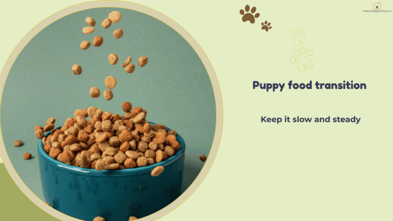 how to transition puppy food
