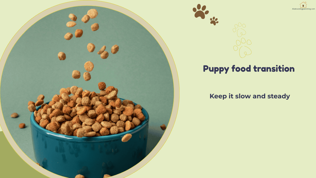 how to transition puppy food