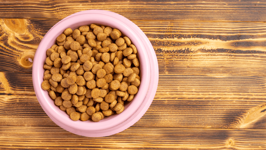 kibble for puppy