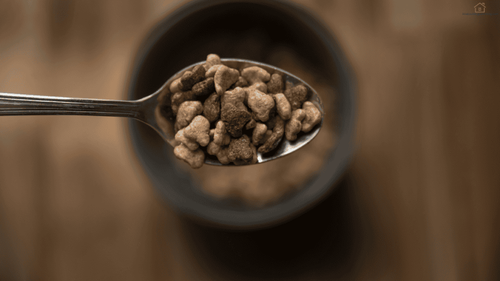 when can puppy eat adult food
