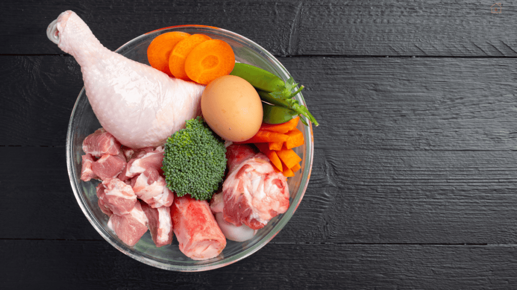 feeding puppy fresh food