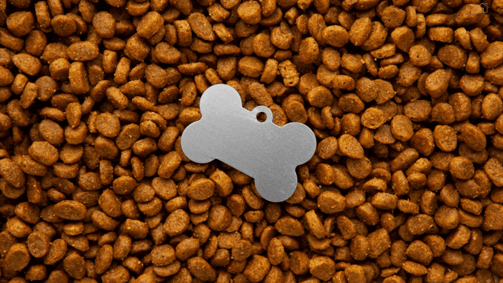 grain free food for puppy
