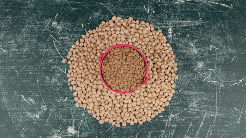 puppy food without grains