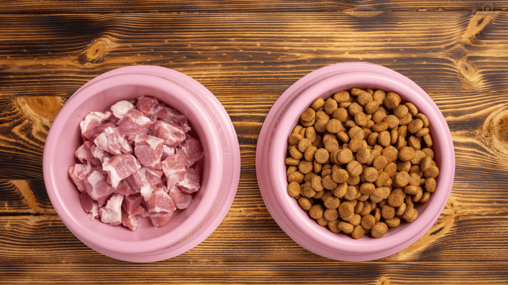 raw diet puppy