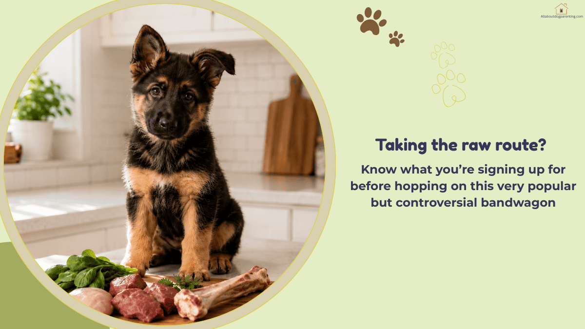 raw food for puppies