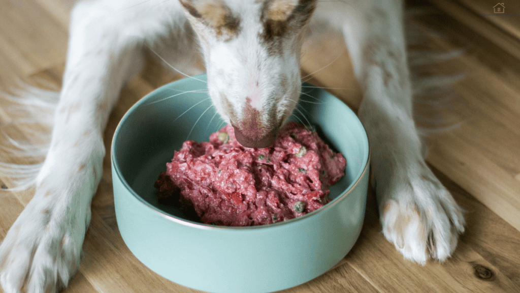 raw puppy food pros cons