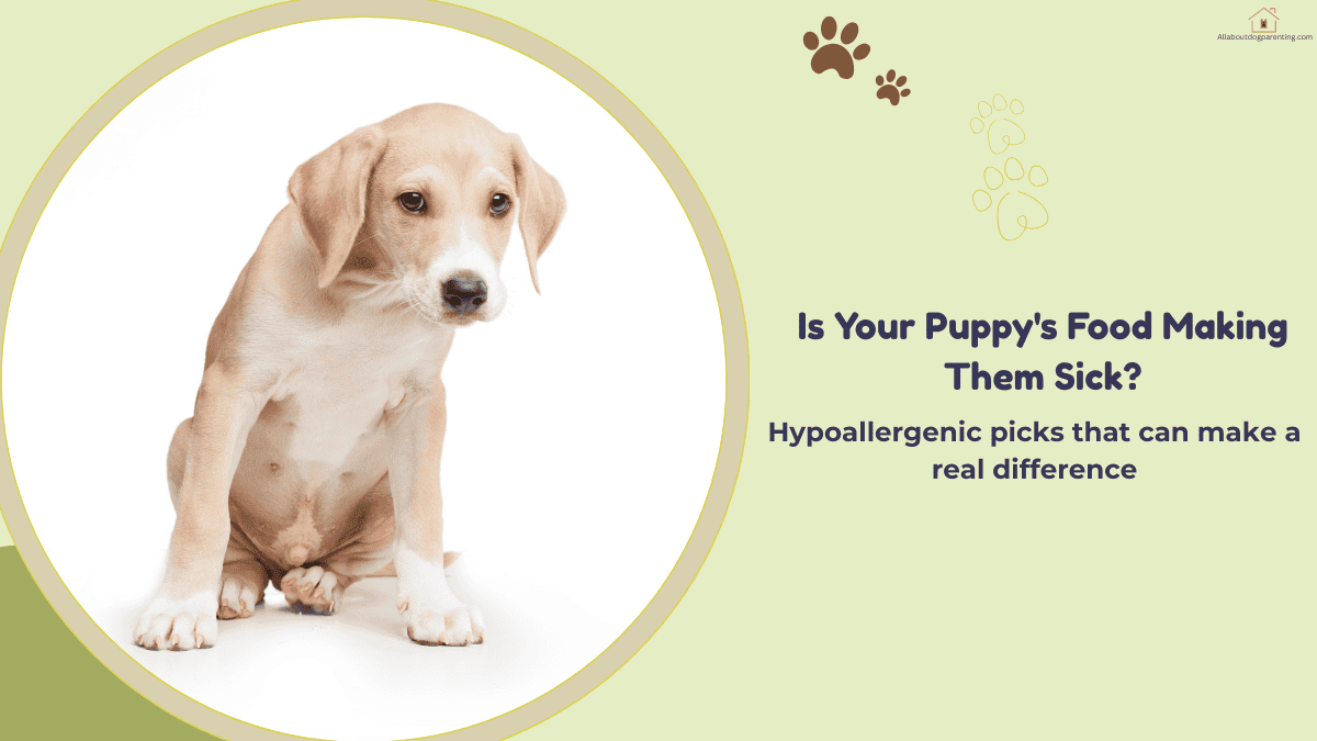 best puppy food for allergies
