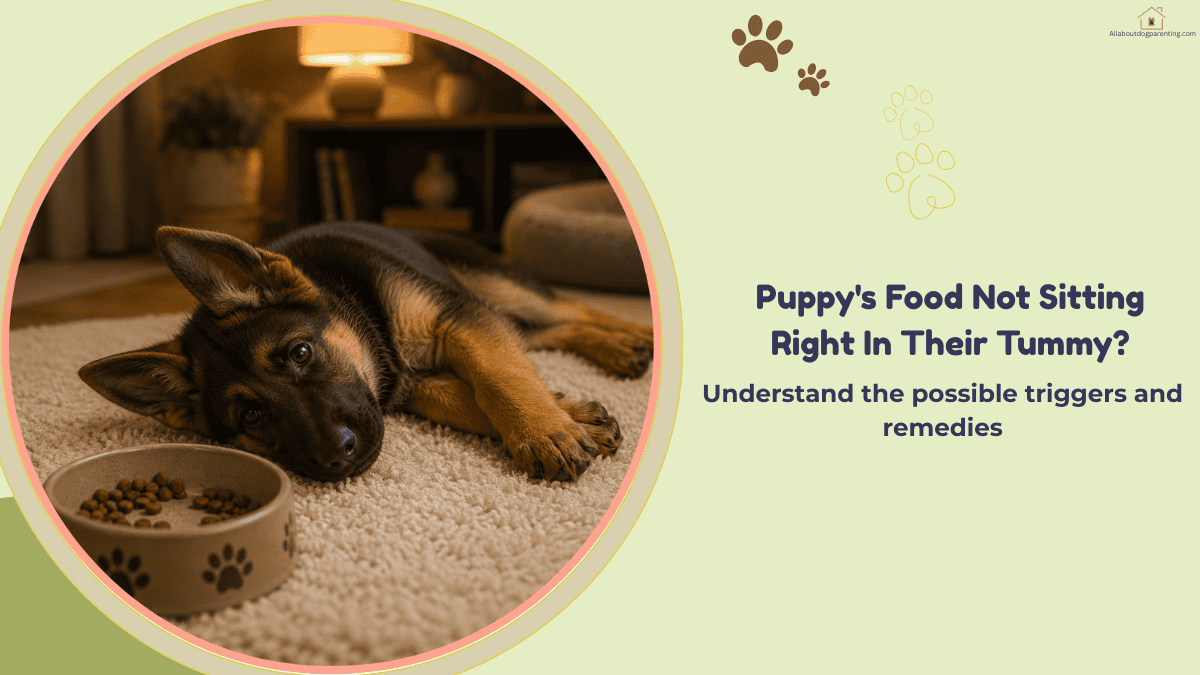best puppy food sensitive stomach