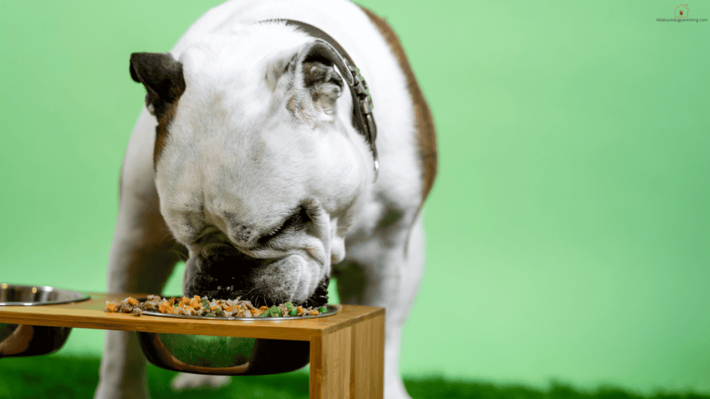 DIY puppy food