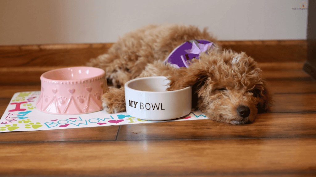 best food for Goldendoodle puppy