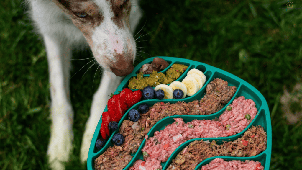 cooking for puppy
