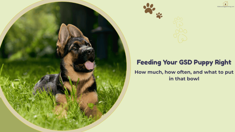 german shepherd puppy food
