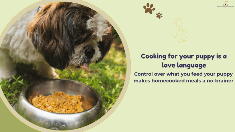 homemade puppy food recipes