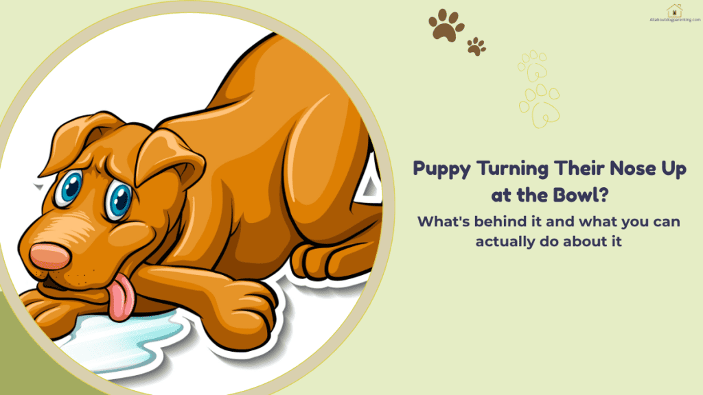 puppy not eating