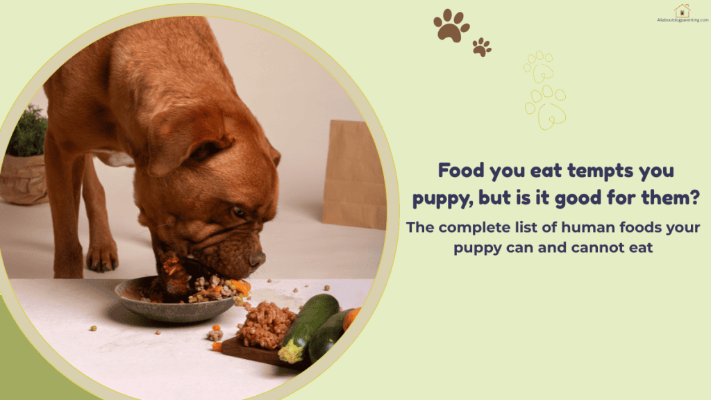 can puppies eat human food