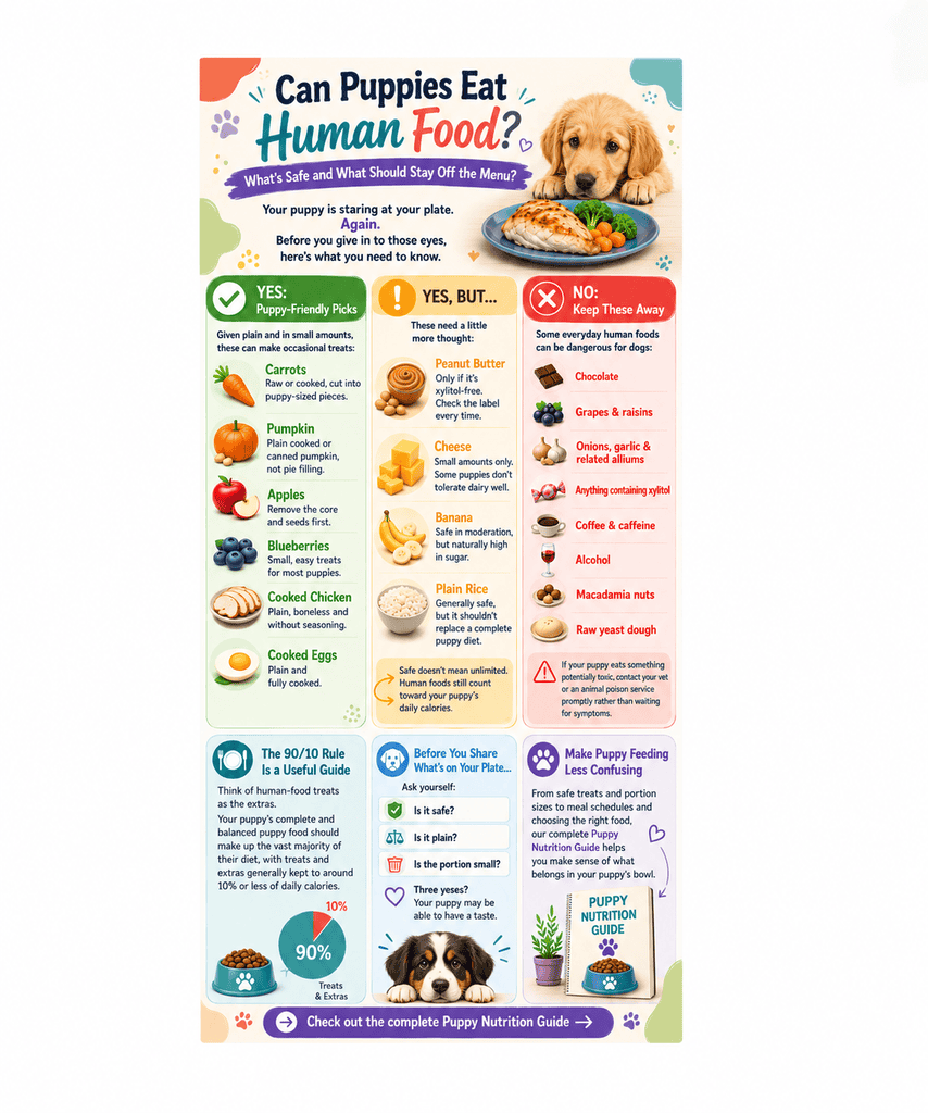human food for puppies
